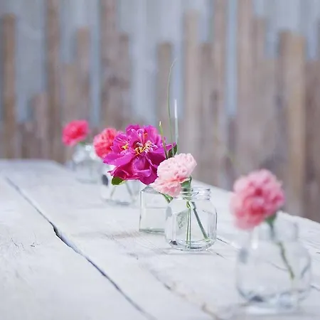 The Мини-отель 3*