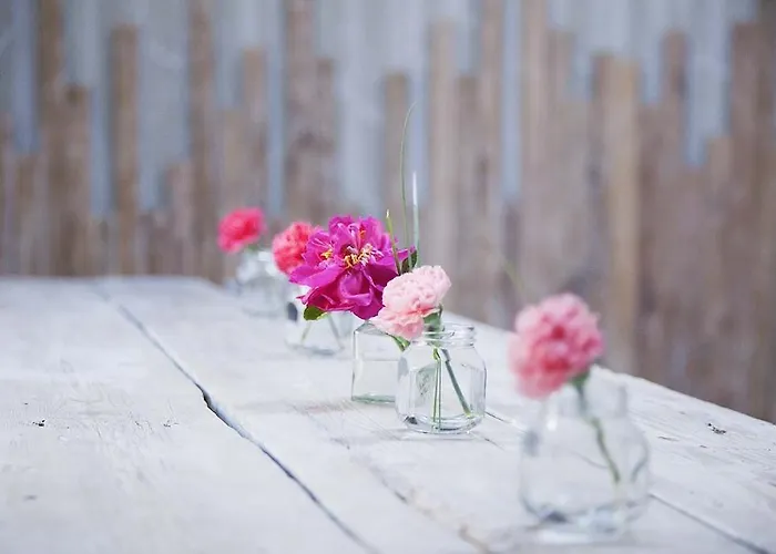 斯特兰德酒店 宾馆 3*